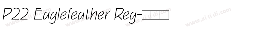 P22 Eaglefeather Reg字体转换